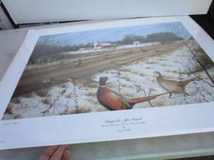 Ringnecks After Gravel by Les Kouba