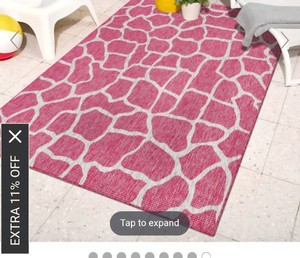 4x6 indoor outdoor area rug