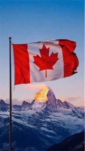 Canadian flag 91x52 in