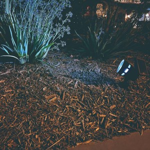 Five pack Patriot Lighting  Solar Integrated LED 50 Lumen Flood Landscape Light