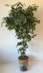 69 Artificial Plant With Lights