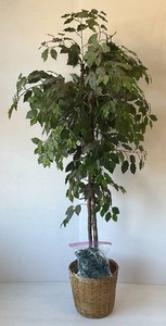 69 Artificial Plant With Lights