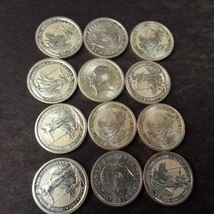 Lot of (12) 110 Troy Oz. Silver Rounds .999 Fine Pence and Miner