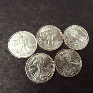 Lot of (5) 110 Troy Oz. Silver Round .999 Fine  Lady Liberty