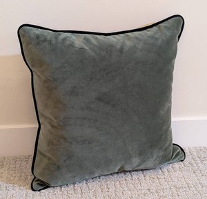 LL - Room and Board Down-Filled Sage Velvet Decorative Throw Pillow
