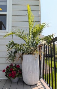 Tall Outdoor Planter with Ribbed White Detailing