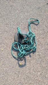 Small plastic boat anchor with rope