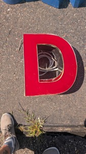 Large neon capital letter man cave garage art use your imagination