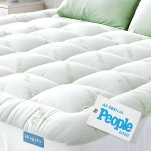 $70 Niagara Sleep Solution Queen Ultra Soft Mattress Topper   Back Pain Relief  Rayon Derived from Bamboo, 20 Deep Pocket, Naturally Cooling, Pillow Top Mattress Pad, Perfect for Hot Sleepers, Green