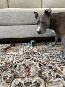 $30 Under Couch Stop Things Going Under Sofa or Bed   Adjustable Gap Bumper for Furniture