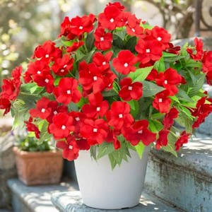 $35 Daynight 8 Pcs Artificial Impatiens Flowers for Outdoor Flowers UV Resistant Faux Red Flowers Impatiens Bushes Silk Artificial Flowers Bouquet for Patio Garden Porch Decor (8, Red)