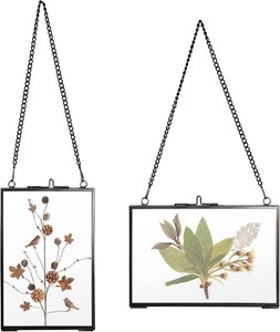 JUXYES 4x6 Hanging Double Glass Floater Picture Frame for Pressed Flowers