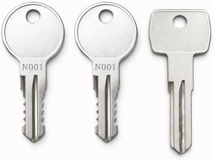 2-Pack N001 Replacement Keys Compatible with Thule Roof Racks, Cargo Boxes and Carriers, Pre-Cut to Key Codes N001-N250 N001R N250R, with 1 Removal Key D1251