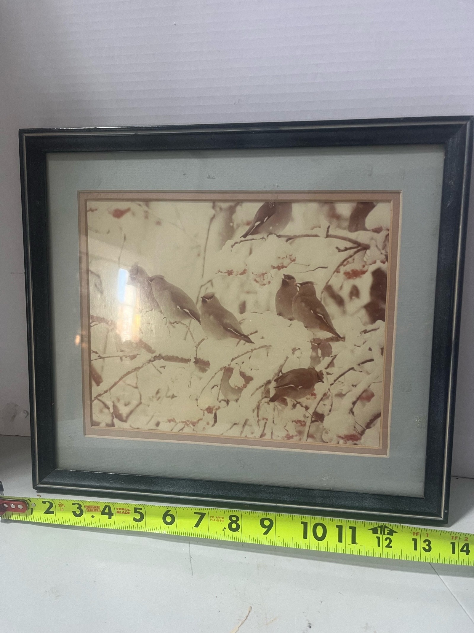 Framed Snow Bird Photo
