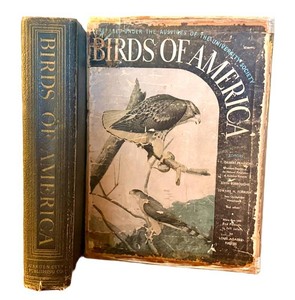 Birds of America 1936 Illustrated