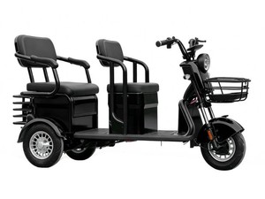 2026 New Black Electric Tricycle  Mini Golf Cart - MGC40 - Unassembled