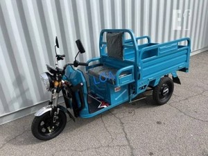 2026 New Teal Electric Tricycle - Model ET13