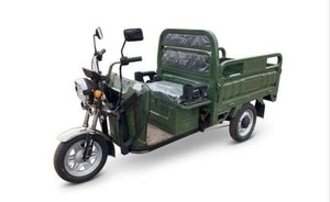 2026 New Green Electric Tricycle - Model ET13