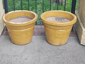 German Eschenbach Mustard Tone Planters Pair