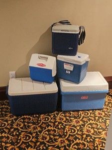 Tailgate Cooler Group with Lunch and Picnic Sizes