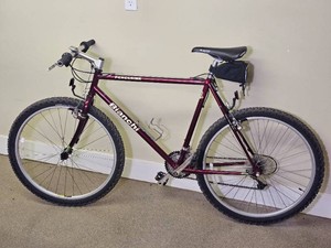 Bianchi Peregrine Mountain Bike