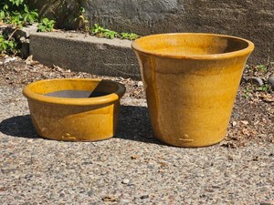 Eschenbach Mustard Tone Planters Sibling Pair