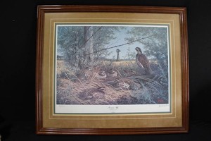 Les Kouba Noonin Up Bobwhite Quail Framed Print - 8041000