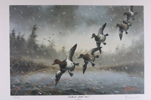 Les C. Kouba Redheads Battle Snow Signed Wildlife Art Print