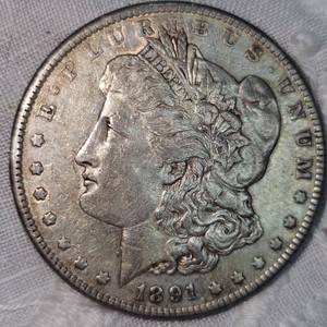 1891 Morgan Dollar $1