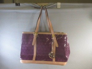 (EW5) Michael Kors Purse