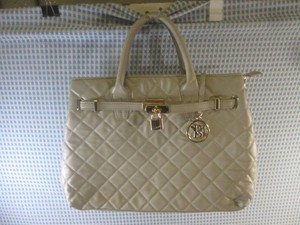 (EW5) Badgley Mischka Purse