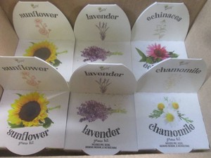 (BS) Lot of 6 Buzzy Assorted Grow Kits
