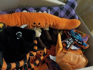 Box of Halloween and Fall Dcor plus Dog Toys and Costumes