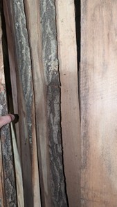 huge lot of long 12-in wide dish 9 and 10 ft long live edge and construction lumber hardwood oak