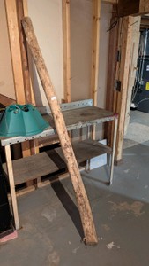 Great toy for your big dog. stripped cleaned oak Pole 8 in around about 8 ft long