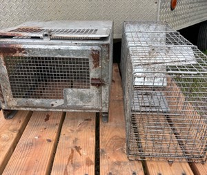 Lot of Live Trap and Animal Transfer Cage
