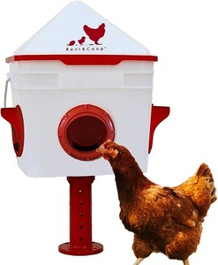 RentACoop Chick2Chicken 10lb BPA-Free 4-Medium Port Feeder