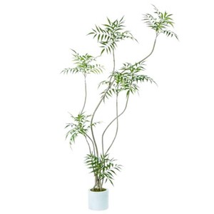 $163 Artificial Mahonia fortunei Tree,6ft Tall Fake Plants Artificial Mahonia fortunei Plants for Indoor, Fake Trees for Office Home Living Room Floor Patio Greening Porch Decor