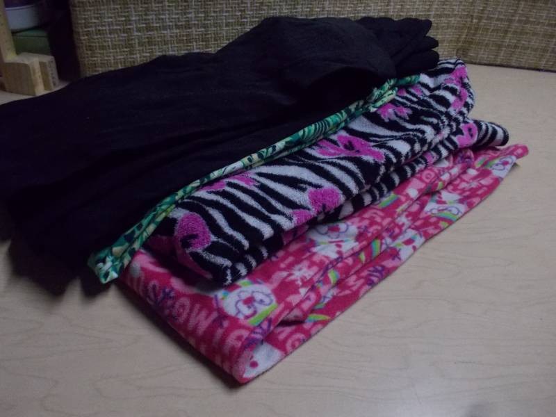 Girls Clothing and Shorts Lot Size 8
