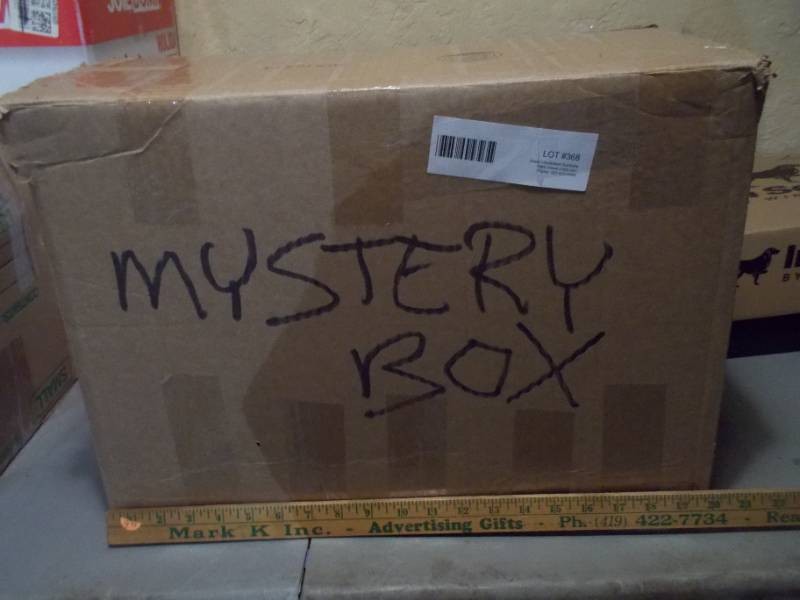 Mystery Box Lot #368