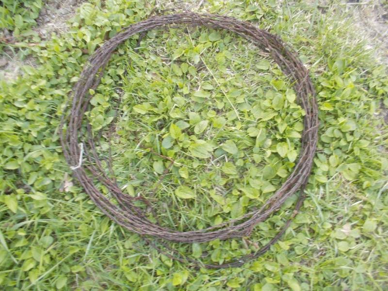 Vintage Barbed Wire Coil Lot #376