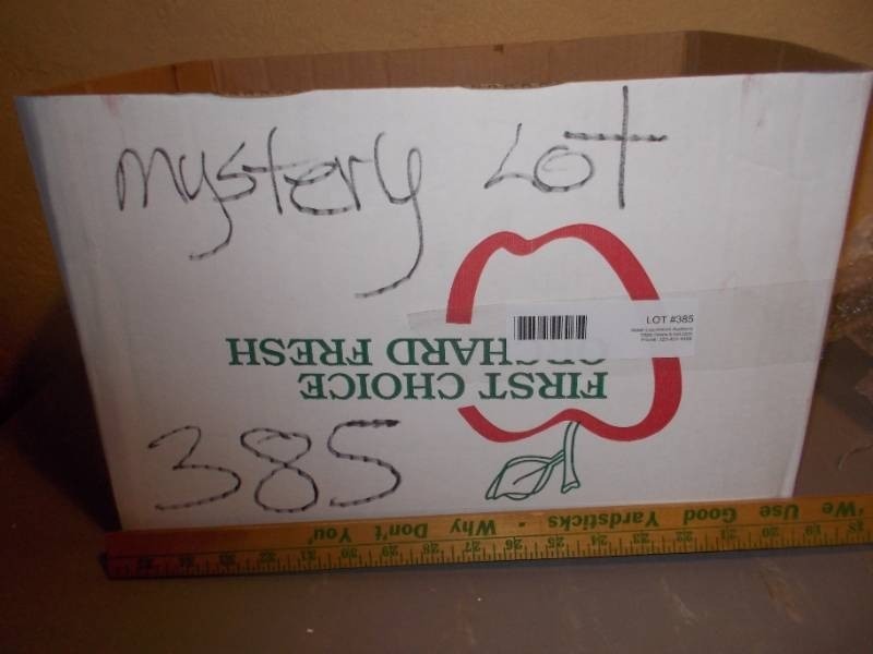 Mystery Lot Box #385