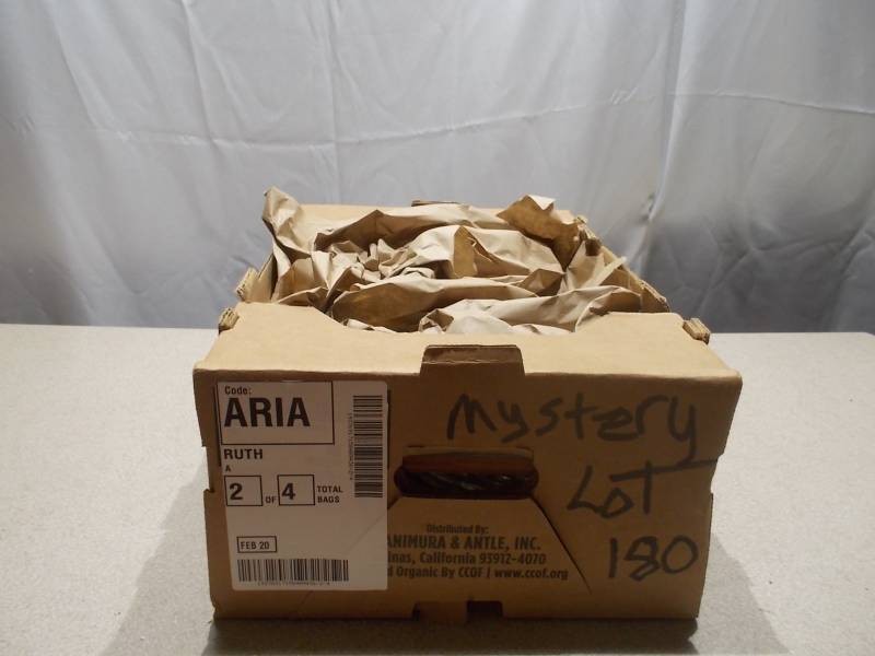 Mystery Lot