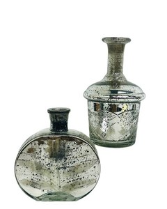 Vintage Mercury Glass Bottles - Silver Botanical Pair