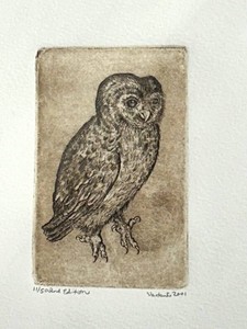 BD - Signed & Numbered Owl Etching Print After a. Durer 1150