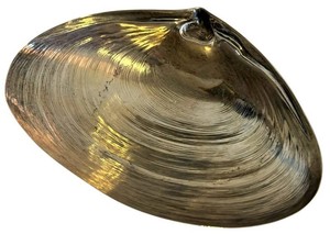 Sterling Silver Dish - Vintage Wallace Shell Form 4094