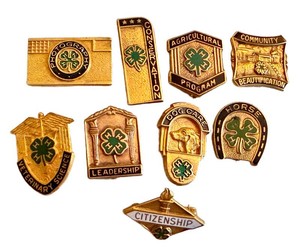 Vintage 4-H Pins - Achievement & Program Collection (Lot of 9)