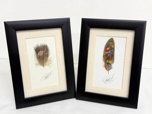 Feather Art - Painted Tortoise & Parrot Frames (Lot of 2)