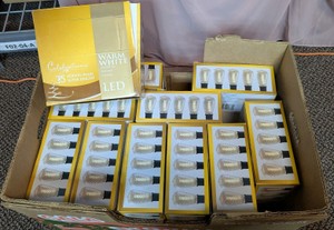 Bulk Lot of 25 Boxes Celebrations Warm White LED Edison Bulbs