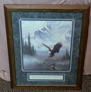 Framed Wildlife Art Print - Bald Eagle & Isaiah 4031 by Dermot Blackburn